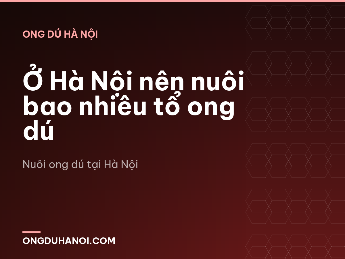 Ở Hà Nội nên nuôi bao nhiêu tổ ong dú