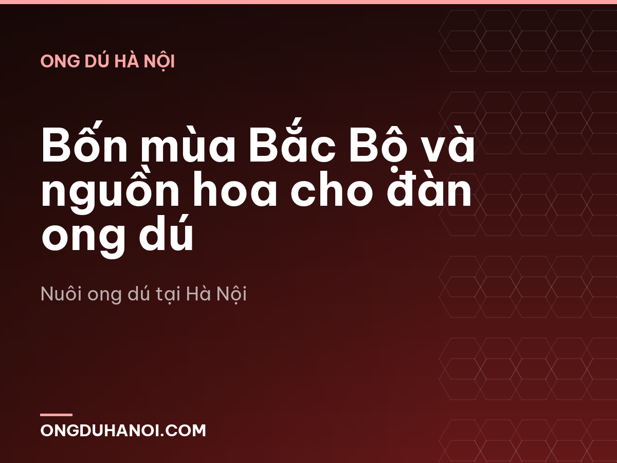 Bốn mùa Bắc Bộ và nguồn hoa cho đàn ong dú