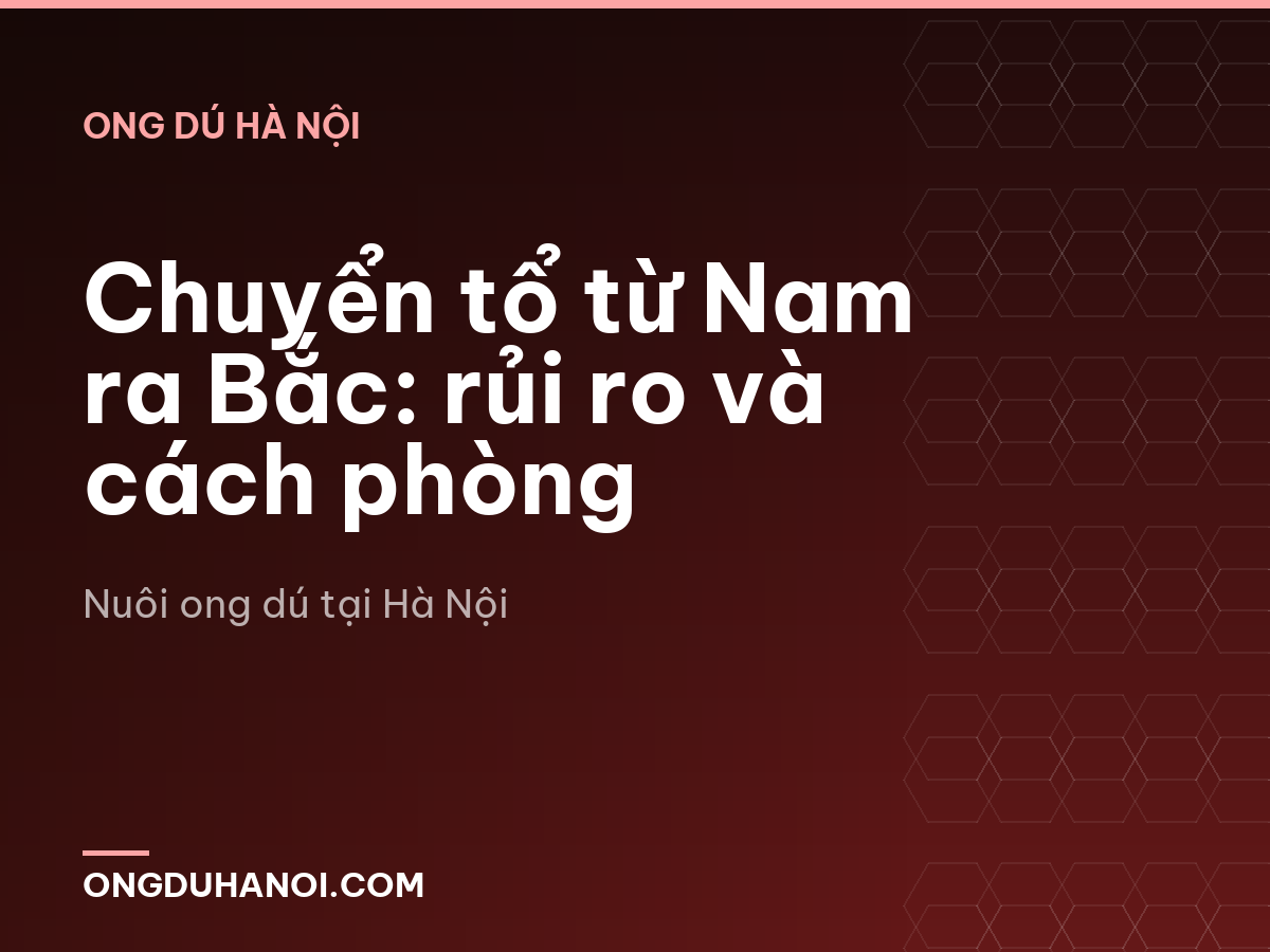 Chuyển tổ từ Nam ra Bắc: rủi ro và cách phòng