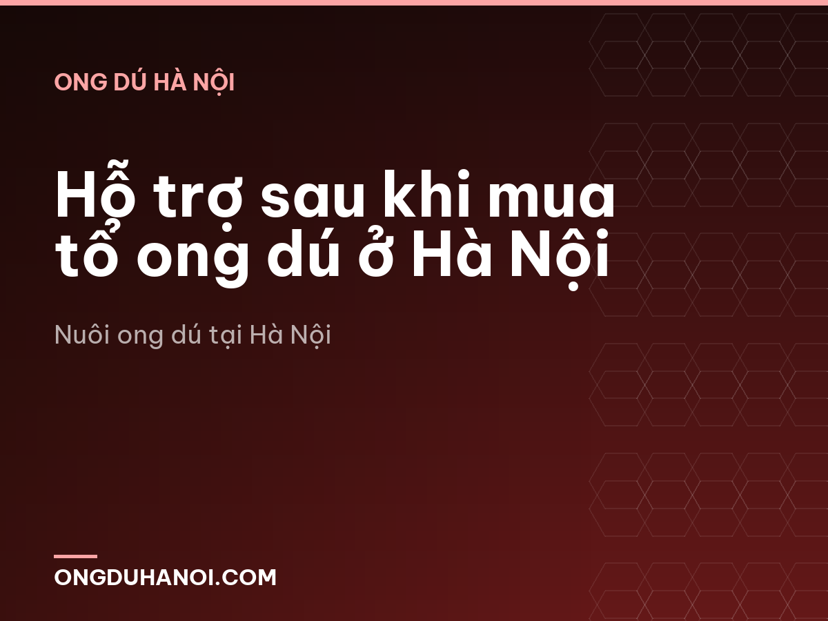 Hỗ trợ sau khi mua tổ ong dú ở Hà Nội