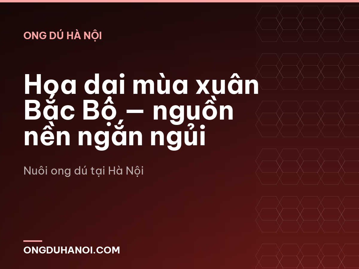 Hoa dại mùa xuân Bắc Bộ — nguồn nền ngắn ngủi