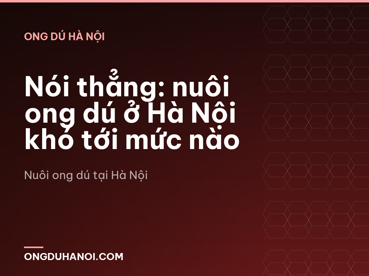 Nói thẳng: nuôi ong dú ở Hà Nội khó tới mức nào