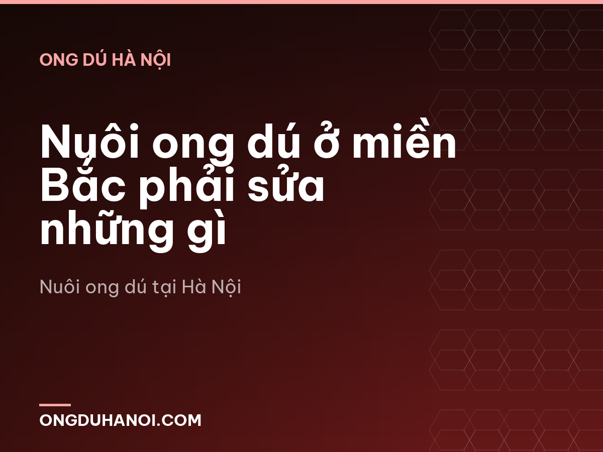 Nuôi ong dú ở miền Bắc phải sửa những gì