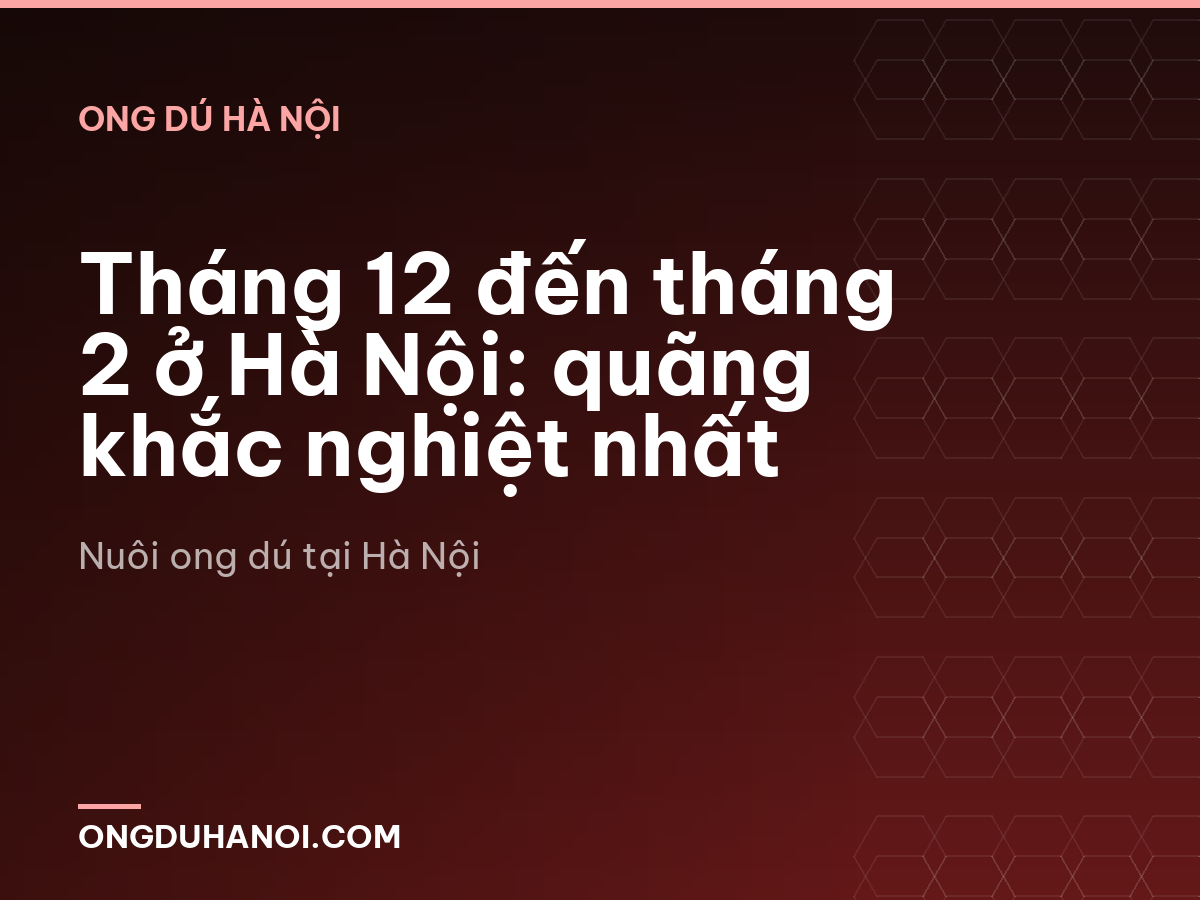 Tháng 12 đến tháng 2 ở Hà Nội: quãng khắc nghiệt nhất