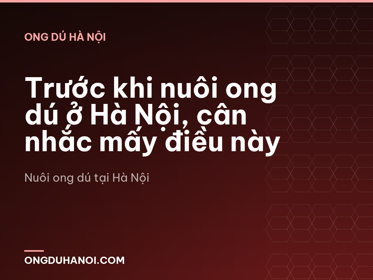 Trước khi nuôi ong dú ở Hà Nội, cân nhắc mấy điều này