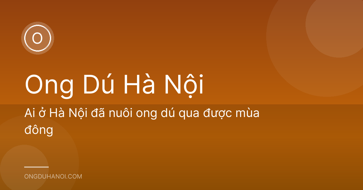 Ai ở Hà Nội đã nuôi ong dú qua được mùa đông