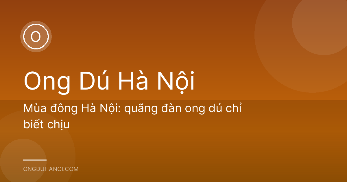 Mùa đông Hà Nội: quãng đàn ong dú chỉ biết chịu