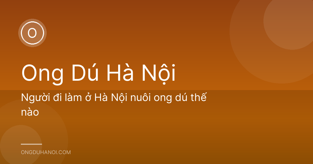Người đi làm ở Hà Nội nuôi ong dú thế nào