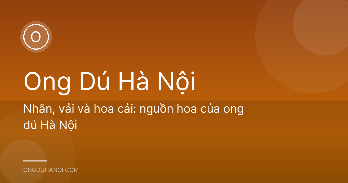 Nhãn, vải và hoa cải: nguồn hoa của ong dú Hà Nội