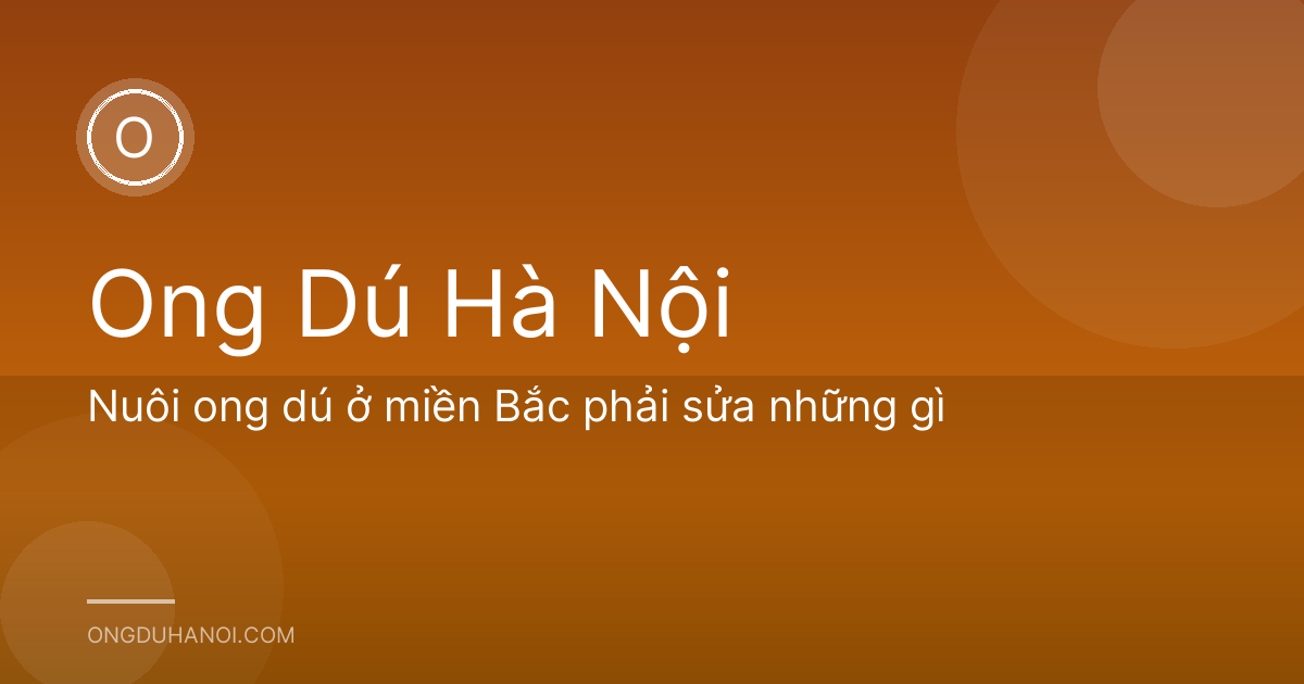 Nuôi ong dú ở miền Bắc phải sửa những gì