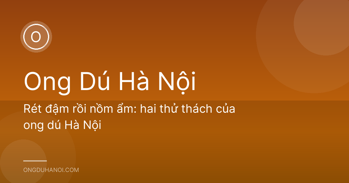 Rét đậm rồi nồm ẩm: hai thử thách của ong dú Hà Nội