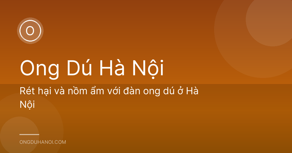 Rét hại và nồm ẩm với đàn ong dú ở Hà Nội