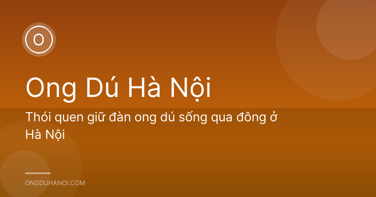 Thói quen giữ đàn ong dú sống qua đông ở Hà Nội