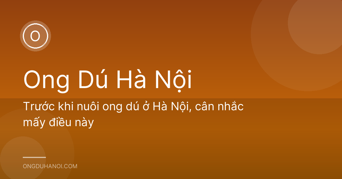 Trước khi nuôi ong dú ở Hà Nội, cân nhắc mấy điều này