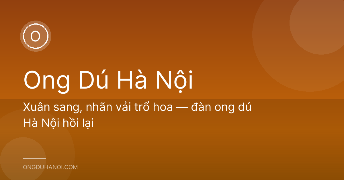 Xuân sang, nhãn vải trổ hoa — đàn ong dú Hà Nội hồi lại