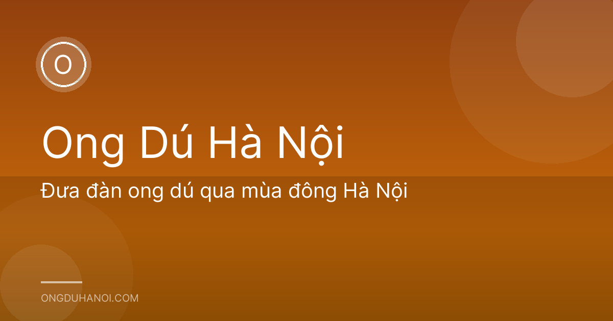 Đưa đàn ong dú qua mùa đông Hà Nội