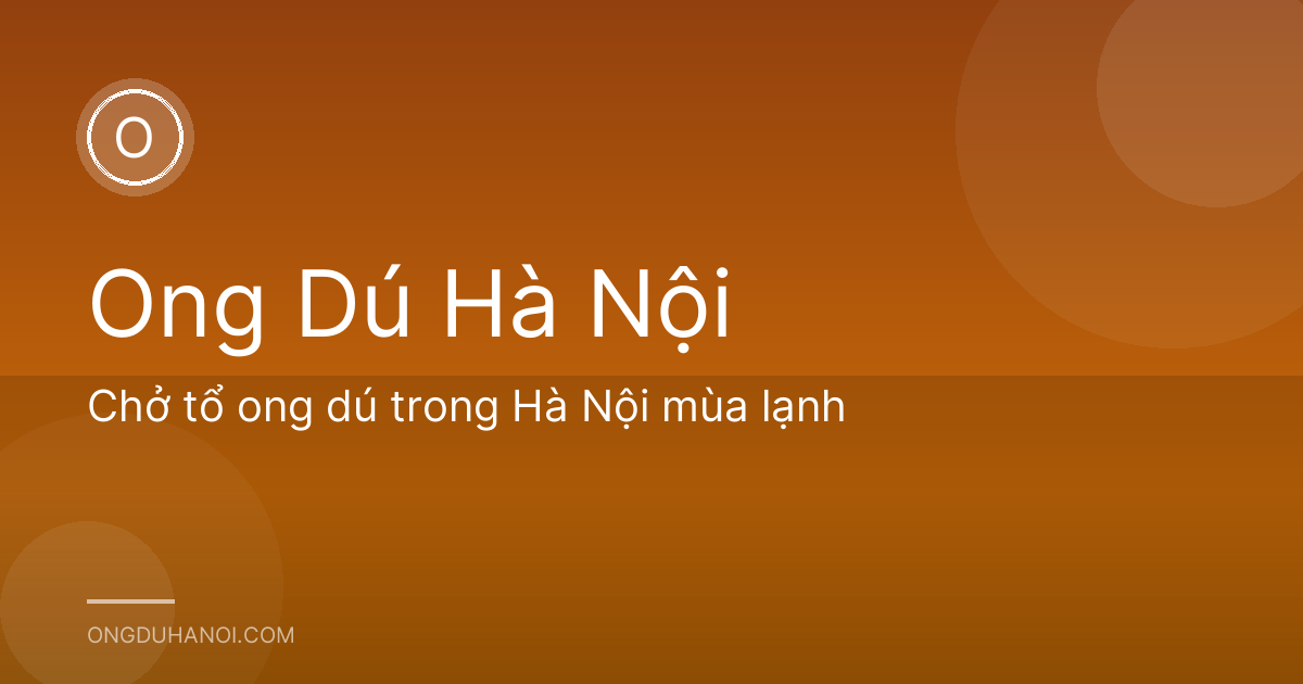 Chở tổ ong dú trong Hà Nội mùa lạnh