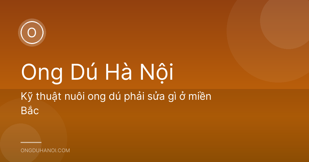 Kỹ thuật nuôi ong dú phải sửa gì ở miền Bắc