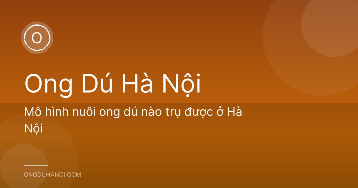 Mô hình nuôi ong dú nào trụ được ở Hà Nội