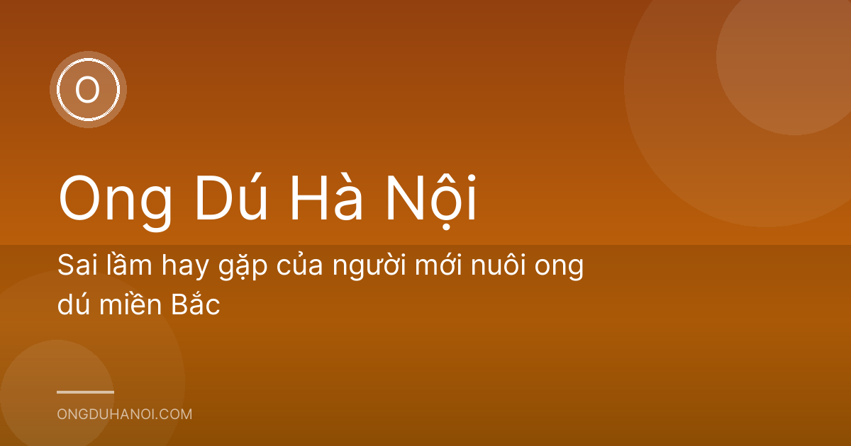 Sai lầm hay gặp của người mới nuôi ong dú miền Bắc
